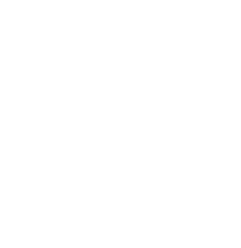 Flaschengaul in weiß