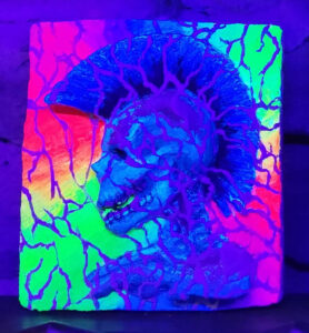 GC-Gaulkunst_Gipskacheln-Totenkopf_202415