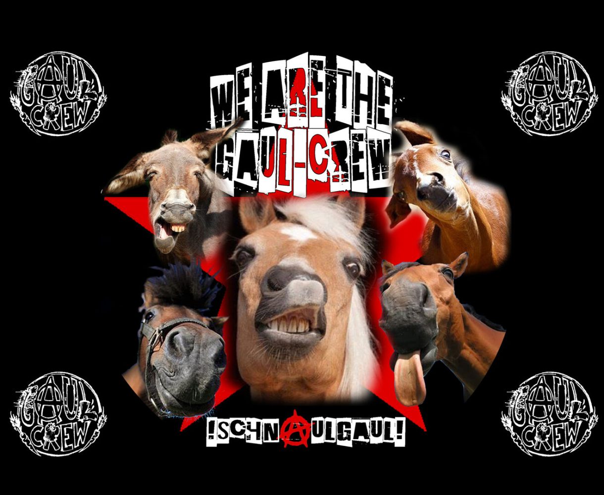 HG_we_are_the_gaul_crew_1920x1080 Non-Profit-Kunstprojekt, solidarisch und antifaschistisch
